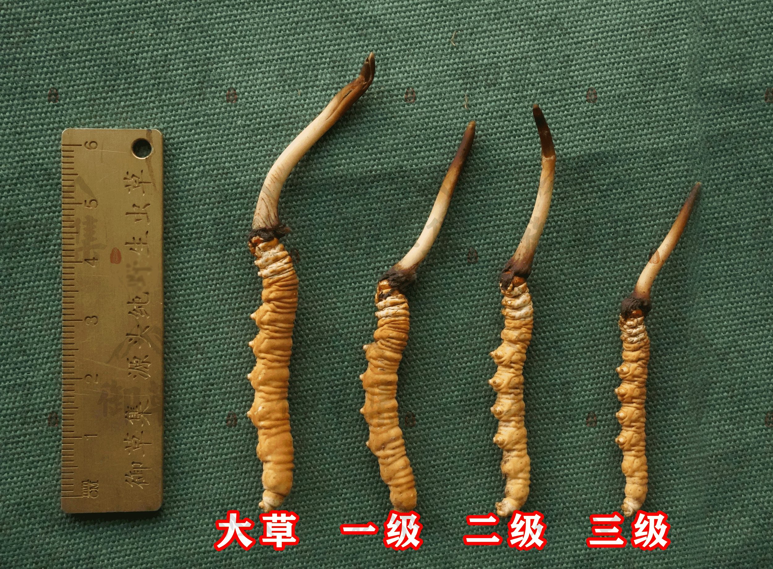 反诈警示图片